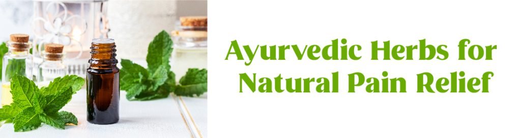 Ayush Ayurveda